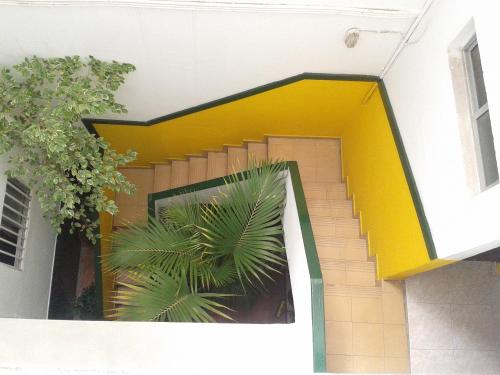 a green wall with a staircase leading up to a balcony at Falow in Las Palmas de Gran Canaria