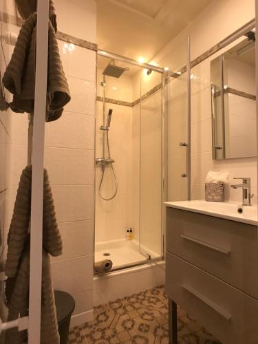 une salle de bain avec douche et lavabo dans l'établissement Magnifique appartement de charme au coeur historique de Dinan, à Dinan