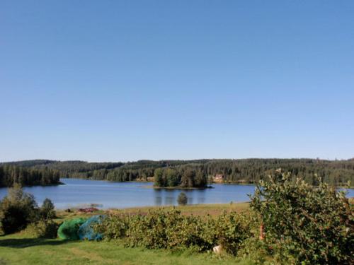 
a lake surrounded by trees and grass at Guesthouse Kumpunen in Petäjävesi
