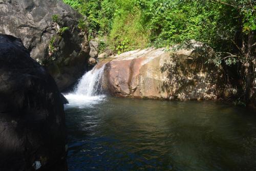 a waterfall in the middle of a river at Stream Garden Mountain Resort in Kalpetta
