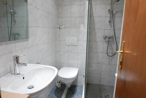 a bathroom with a toilet and a sink and a shower at Gasthof Pension „Zur Hammerschmiede“ in Drosendorf Altstadt