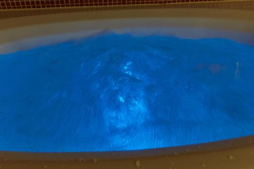 a dog swimming in a tub of blue water at ホテル ジュエリージュエリー 十三 in Osaka
