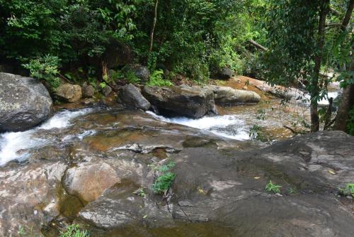 a stream of water with rocks and trees at Stream Garden Mountain Resort in Kalpetta