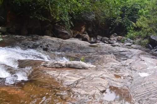 a stream of water with rocks and trees at Stream Garden Mountain Resort in Kalpetta