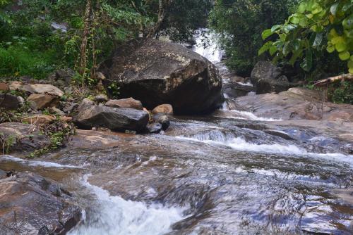 a stream of water with rocks and trees at Stream Garden Mountain Resort in Kalpetta