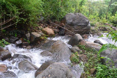 a stream of water with rocks and trees at Stream Garden Mountain Resort in Kalpetta