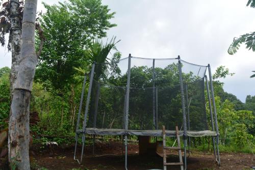 a swing set in front of a tree at Stream Garden Mountain Resort in Kalpetta