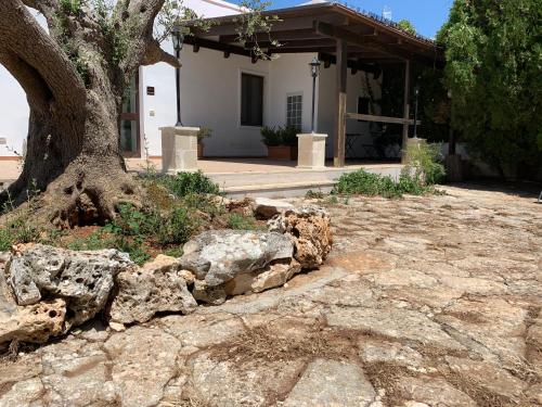 a house with a tree and rocks in front of it at Masseria Chianca - Le rose in Mottola