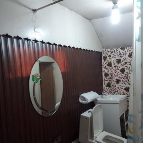 a bathroom with a toilet and a mirror at S Group Of Houseboat in Srinagar