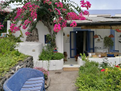 une maison blanche avec des fleurs roses dans la cour dans l'établissement La Rosamarina, à Stromboli
