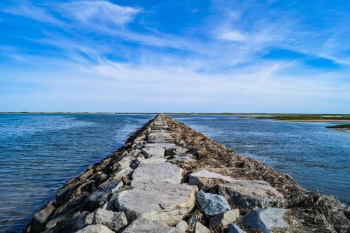 a pier in the middle of a body of water at Provincetown Inn in Provincetown