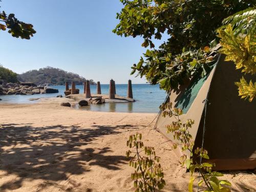 Mufasa Eco Lodge