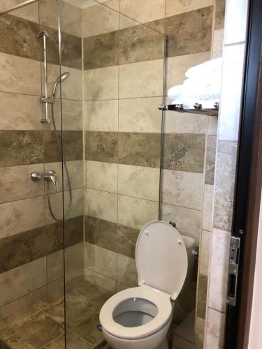 a bathroom with a toilet and a glass shower stall at Eden Blue in Costinesti