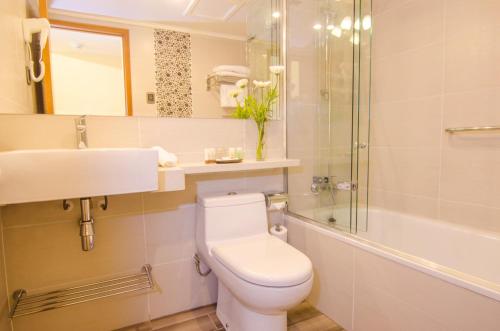 a bathroom with a toilet and a sink and a shower at Hotel Restaurante Ankara in Viña del Mar