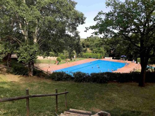 una grande piscina in un parco con persone intorno di Can Giribets a Argelaguer