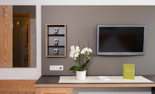 TV a/nebo společenská místnost v ubytování Hotel Freisicht