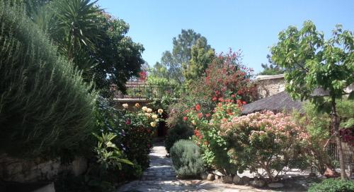 Κήπος έξω από το Oleander Stone House