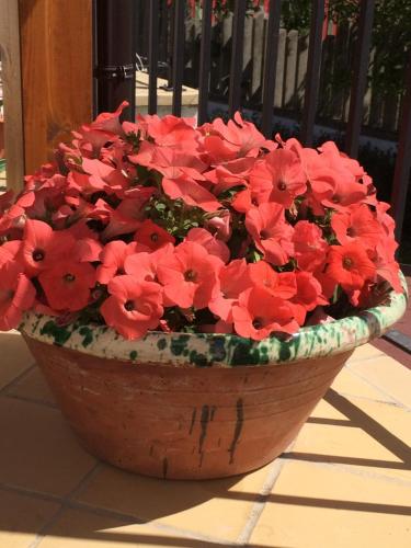 Gallery image of B&B La Casa in Campagna in Collecorvino