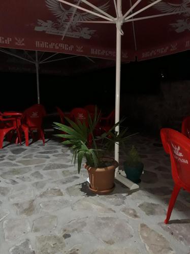 a plant in a pot sitting under an umbrella at Hotel Rabati in Akhaltsikhe