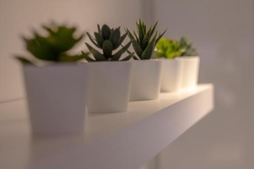 une rangée de plantes en pot sur une étagère blanche dans l'établissement The Nest, à Youghal