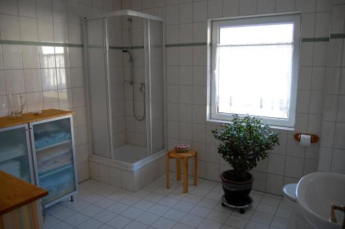 a bathroom with a shower and a sink at Haus am Haff in Karnin (Usedom)