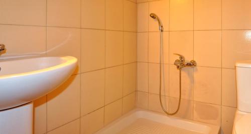 a bathroom with a shower and a sink and a toilet at Houses Nikolaos in Afitos