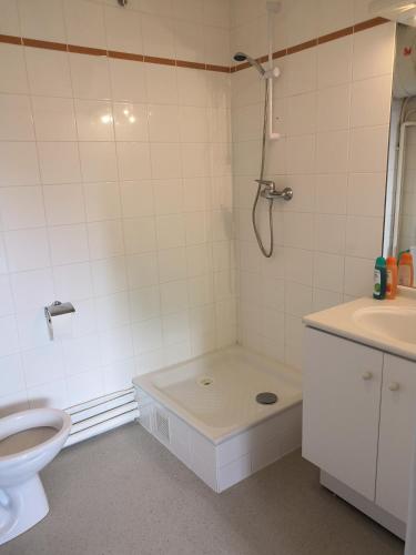 une salle de bain avec une douche, des toilettes et un lavabo dans l'établissement Studio lumineux 10 min à La Défense, à Rueil-Malmaison