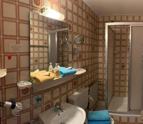 a bathroom with a sink and a toilet and a mirror at Pension Erna in Zwiesel