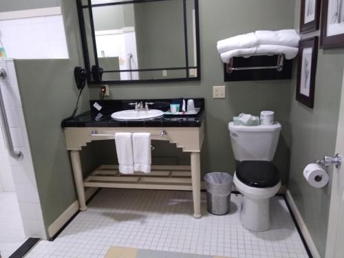 a bathroom with a toilet, sink and mirror at Southern Comfort Suites in Mayfield