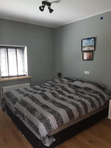 a bedroom with a bed and a ceiling fan at Vitamine Zee in Petten