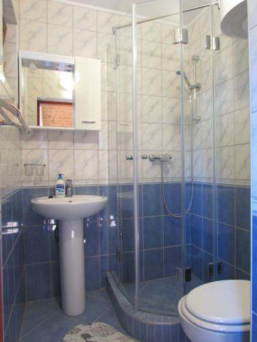 a bathroom with a shower and a sink and a toilet at Guest House Nenad in Plitvička Jezera