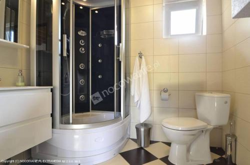 a bathroom with a shower and a toilet in it at Sosenka 6 - całoroczne domki rekreacyjne in Milicz