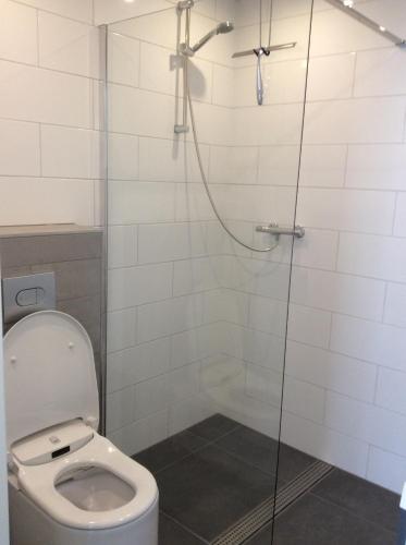 a bathroom with a shower with a toilet at Vakantiewoning Het Gemaal in Oostwold