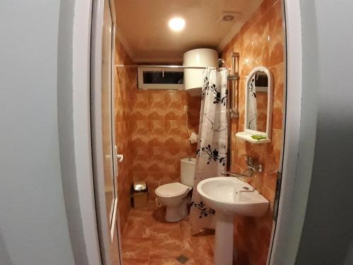 烏雷基的住宿－TimGiz，一间带卫生间和水槽的小浴室