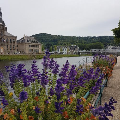 a row of purple flowers in front of a body of water at Chambres Dhôtes Numéro 1 in Châteaulin