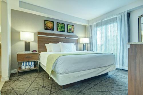 Desert Rose Resort Image