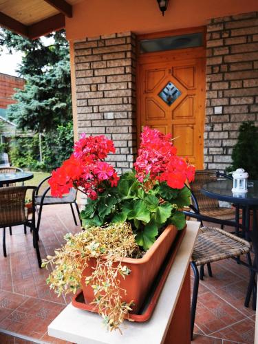 a potted plant sitting on a table on a patio at Strigonia Apartman in Esztergom