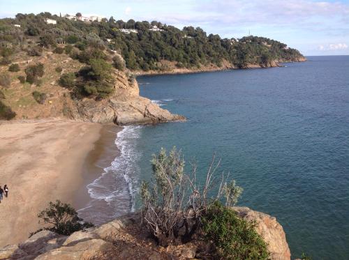 - une vue sur la plage avec des arbres et l'océan dans l'établissement Le Pêcheur, à Cavalaire-sur-Mer