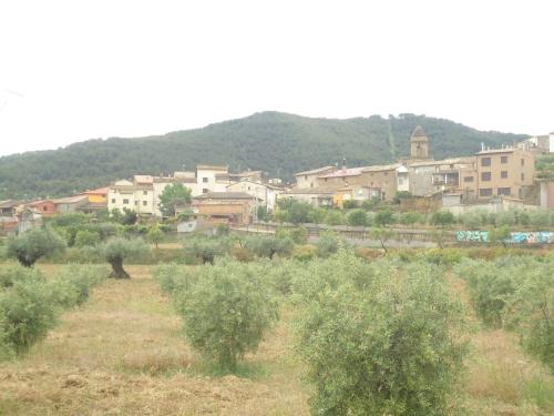 a group of trees in a field with a town at Casa Felisa Pirineo Aragonés in Santa Eulalia de Gállego
