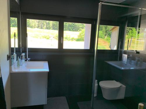 La salle de bains est pourvue d'un lavabo, de toilettes et d'une fenêtre. dans l'établissement GITES SAINT ROMARY, à Saint-Étienne-lès-Remiremont