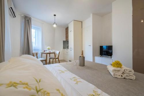 Studio Apartments Petar in old part of town
