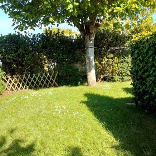 un arbre au milieu d'une cour avec une clôture dans l'établissement Le Havre de Paix Mobil home ancien, à Pordic