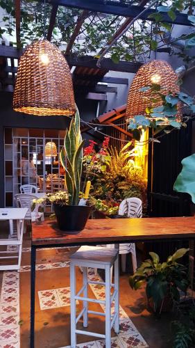 a table with a potted plant and two lights at Casa de Arte CiTá, bed and breakfasts in San Miguel de Tucumán
