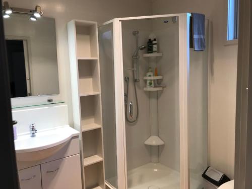 a bathroom with a shower and a sink at Angie's Rural Retreat in Wainuiomata