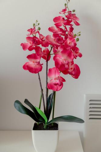 a white vase with pink flowers in it at Oceania Bay Village in Pyla