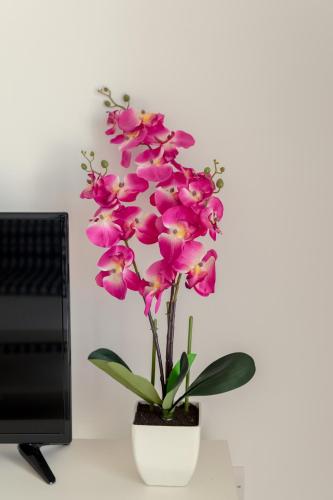 a pink orchid plant in a white pot on a desk at Oceania Bay Village in Pyla