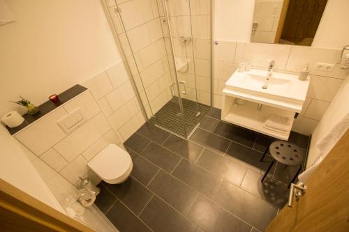 a bathroom with a toilet and a sink at Haus Flexen rooms & apartments in Stuben am Arlberg