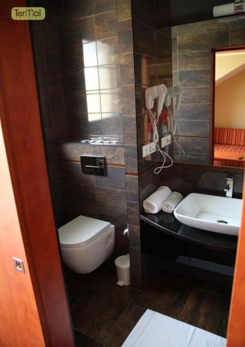 a bathroom with a sink and a toilet and a mirror at Penzion Termal in Bojnice
