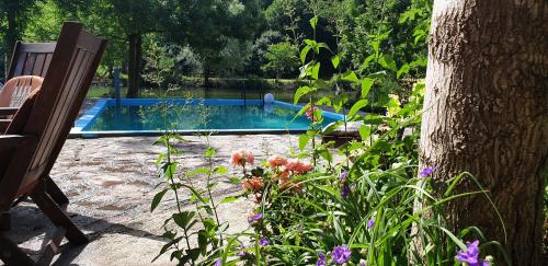 a yard with a pool and a tree and flowers at Auto Kamp Lav in Kulen Vakuf