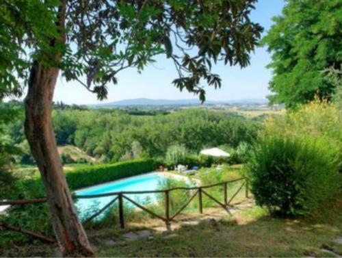 a swimming pool in a garden with a tree at Agriturismo La Moraia in Poggibonsi